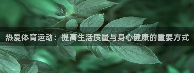 3377体育：热爱体育运动：提高生活质量与身心健康的重要方式