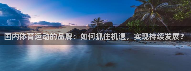 3377体育网页登录入口：国内体育运动的品牌：如何抓住机遇，实现持续发展？