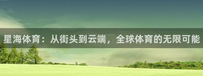 3377体育在线：星海体育：从街头到云端，全球体育的无限可能