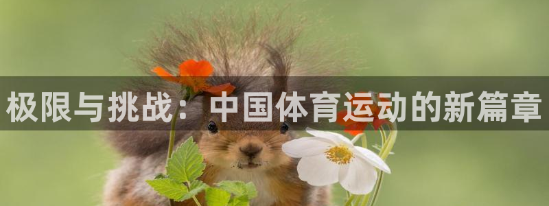 3377体育官网下载：极限与挑战：中国体育运动的新篇章