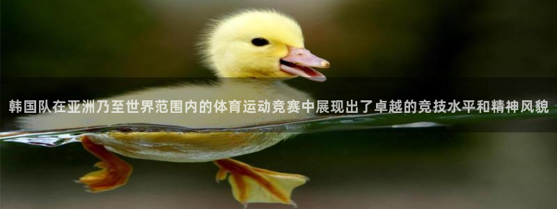 3377体育：韩国队在亚洲乃至世界范围内的体育运动竞赛中展现出了卓越的竞技水平和精神风貌