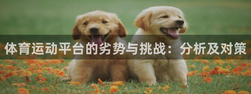 3377体育在线：体育运动平台的劣势与挑战：分析及对策