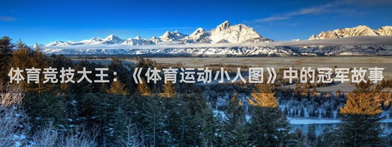3377体育全网：体育竞技大王：《体育运动小人图》中的冠军故事