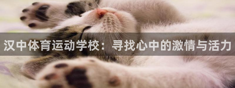 3377体育手机平台：汉中体育运动学校：寻找心中的激情与活力