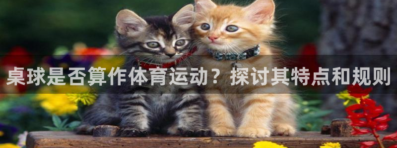 3377体育官网入口下载最新：桌球是否算作体育运动？探讨其特点和规则