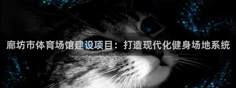 3377体育是正规平台吗：廊坊市体育场馆建设项目：打造现代化健身场地系统