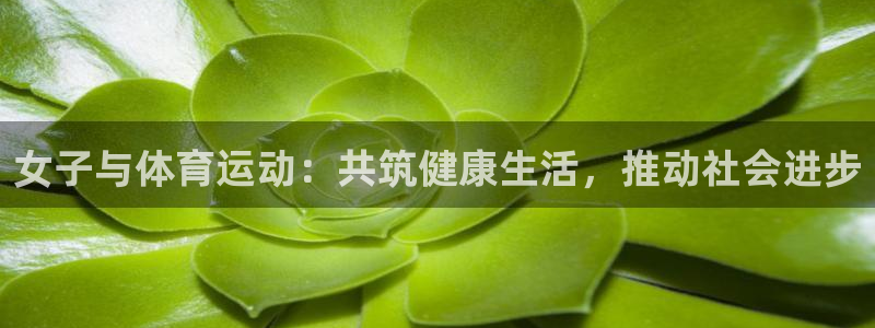 3377体育com：女子与体育运动：共筑健康生活，推动社会进步